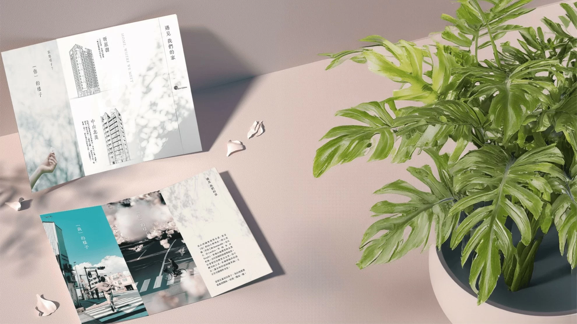 美山林形象DM 美山林形象DM