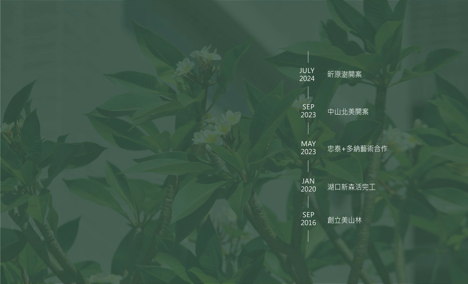美山林建設歷史沿革 美山林建設歷史沿革