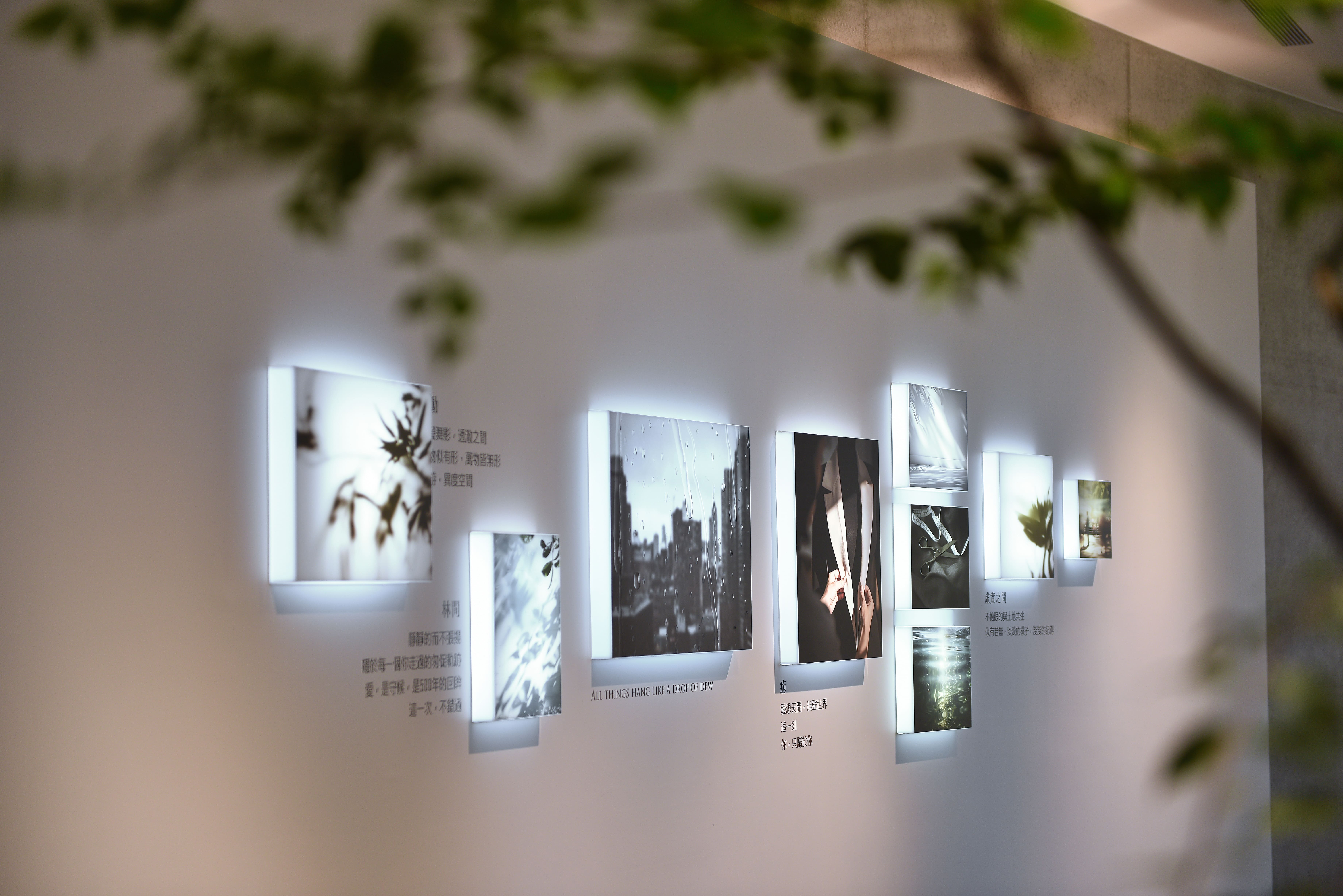 建築作品 | Portfolio