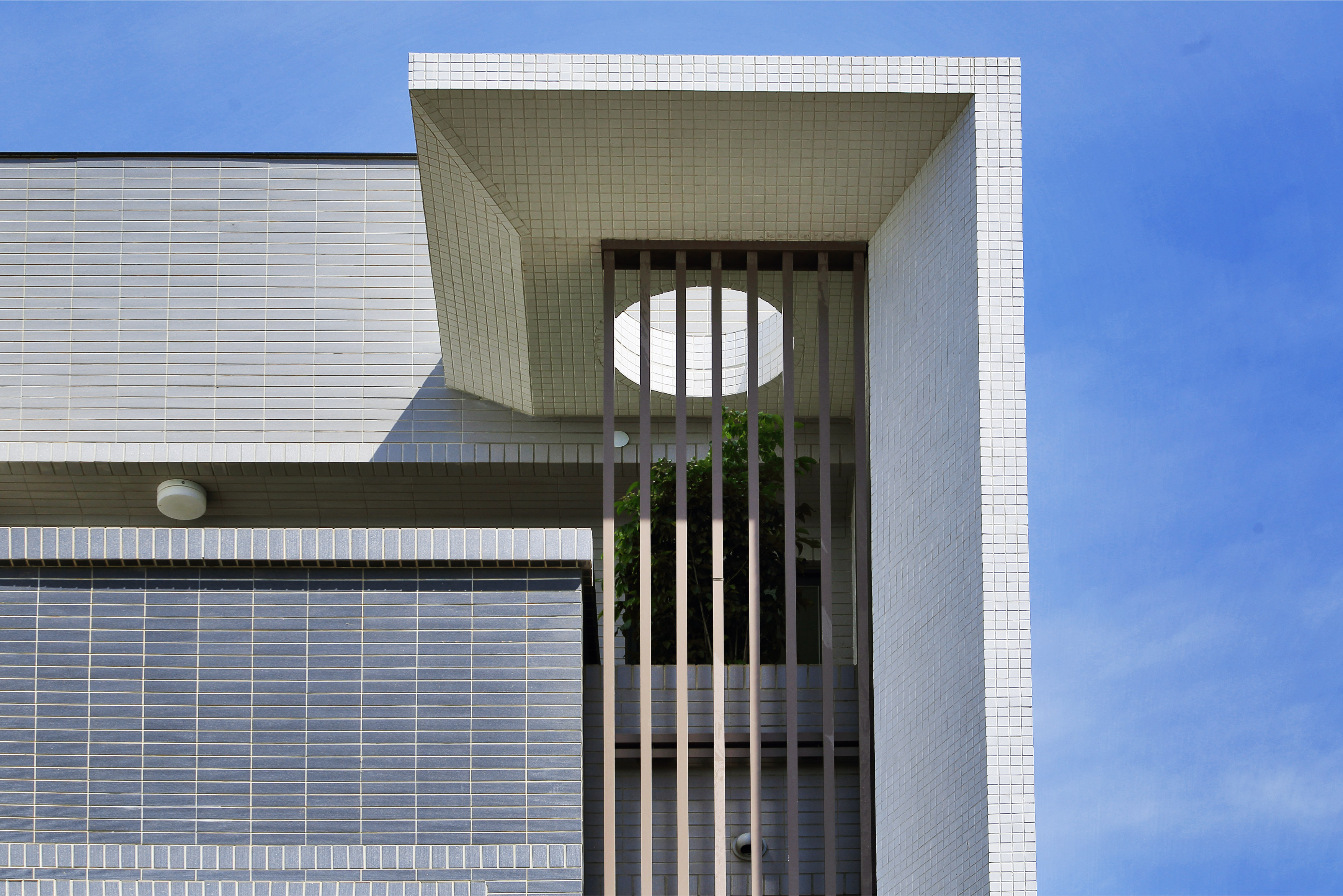 新森活 美山林建設-新森活天井