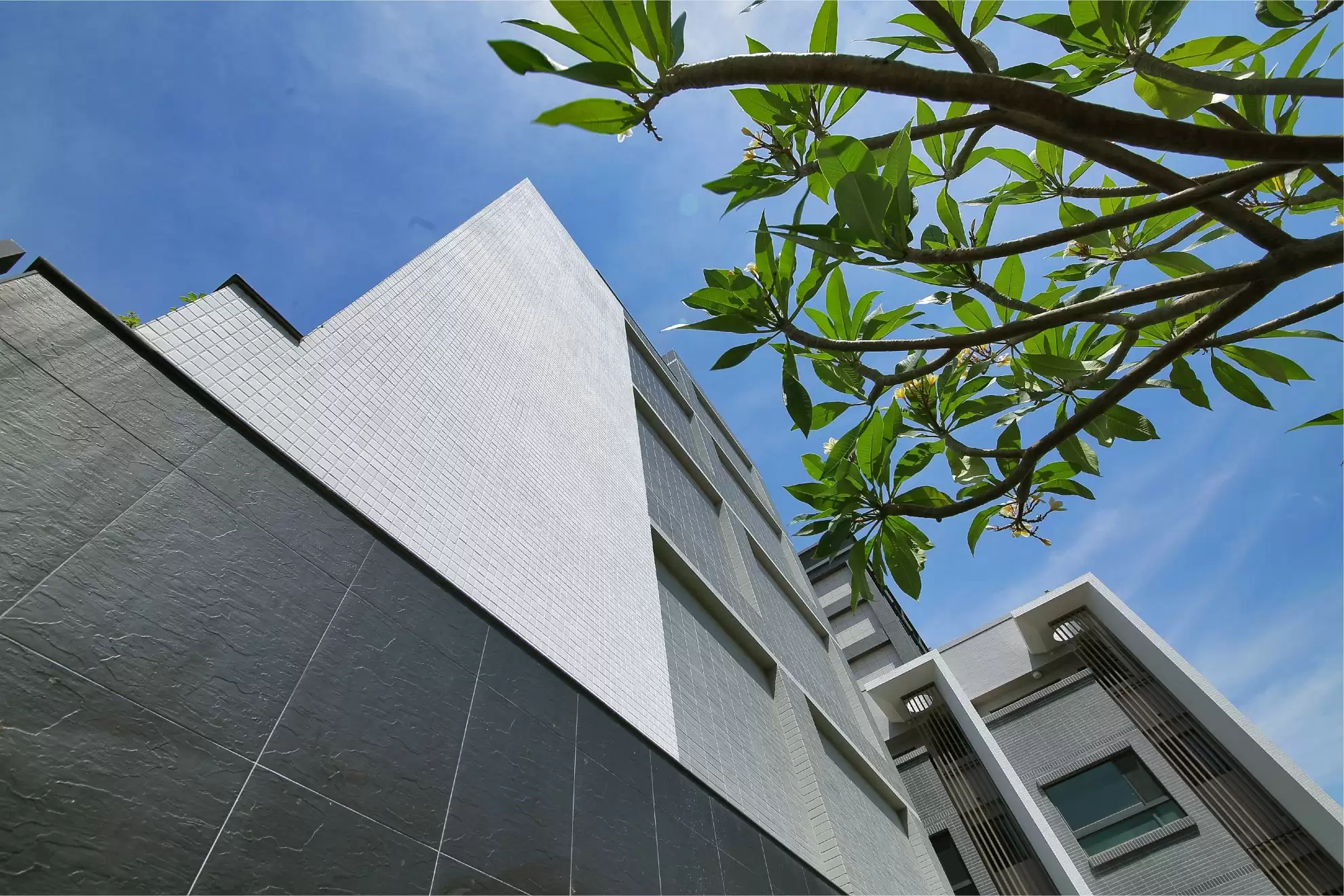 新森活 美山林建設-新森活建築外觀