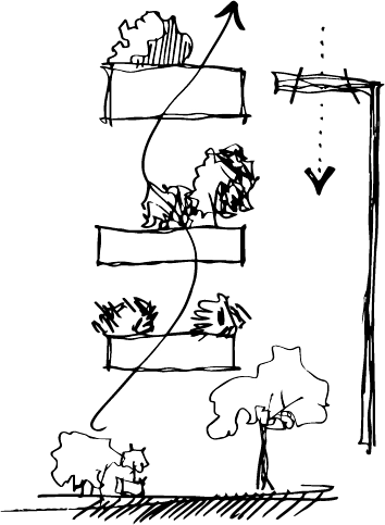 新森活 美山林建設-新森活建築設計